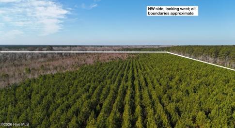 DJI_20260107122152_0567_D Large