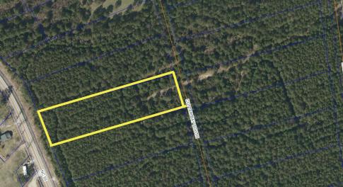 Screenshot 2026-01-15 at 7.58.01PM