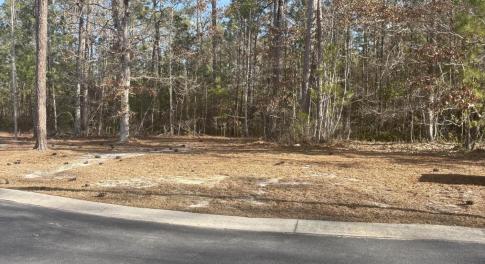 1206 Mandevilla Dr front