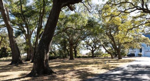 Lot 4 Stone Ballast Way OIB