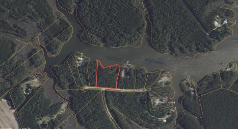 Screenshot 2026-01-21 at 9.18.37AM