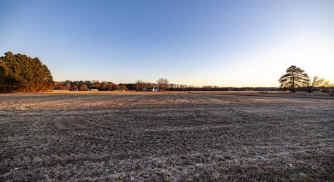 HN9A6379_pro_2550x1667