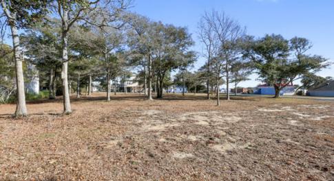 134141720581153869_134141720481571706_IM