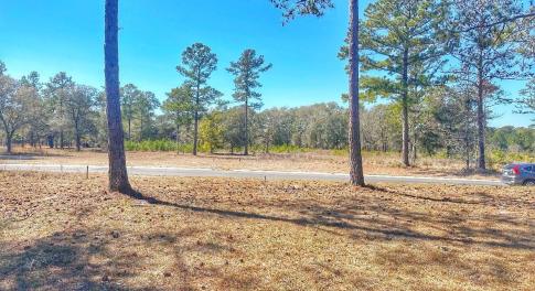 IMG_4503_SnapseedCopy