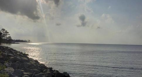 Screen Shot 2026-02-06 at 2.38.22 PM