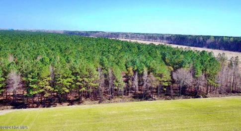 20240320170256993064000000-o