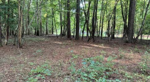 CDB5AC1D-B7DF-49FE-98A6-CEE76714A3B7