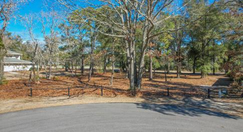 3056PurpleFinchLnSW - 1