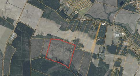 Screenshot 2026-02-18 at 11.39.07AM