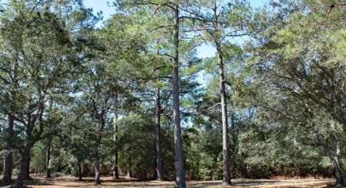 7483 Haddington Place Image