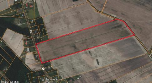 Screenshot 2026-02-20 at 1.41.02PM