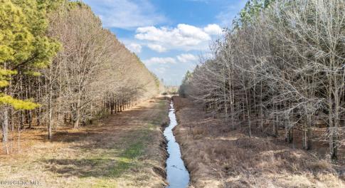 View of stream
