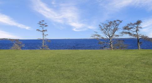 Waterview