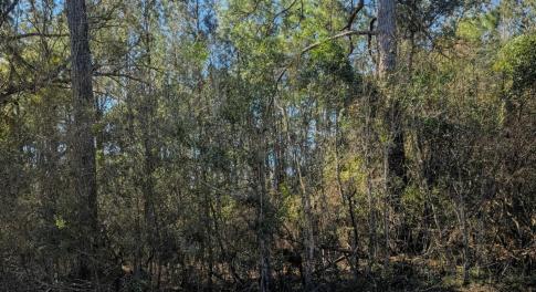 437 Colony Ln SE Leland