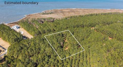 Estimated boundary