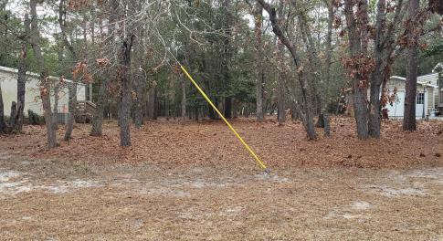 Resized_20260226_111755