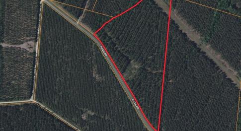 Screenshot 2026-02-26 at 1.09.08PM