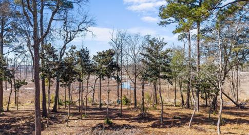 2-web-or-mls-DJI_20260217114139_0603_D