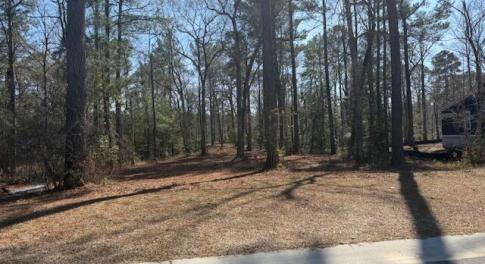 LOT 507