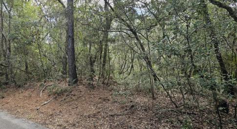 Resized_20240307_143156_1709839935935