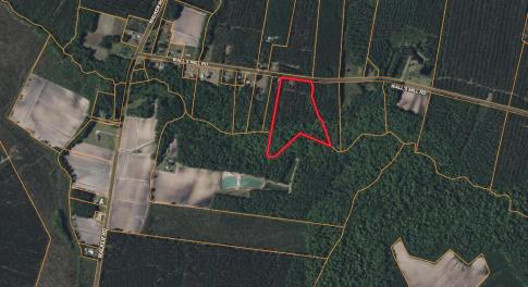 Screenshot 2026-03-02 at 1.02.26PM