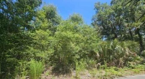 20240621002208951040000000-o