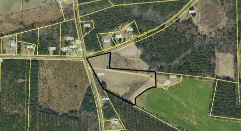 Screenshot 2026-02-16 173908