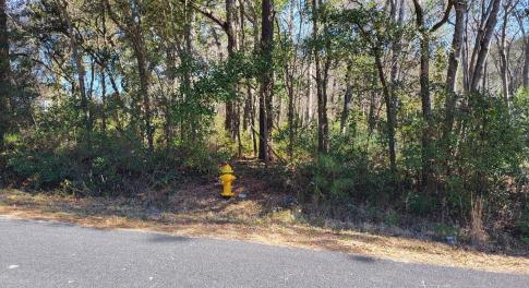 Shell Landing 3.9 Acre road frontage wit