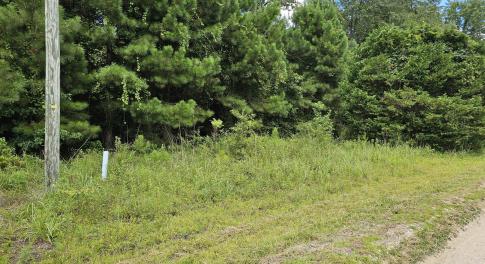 Wooded Lots