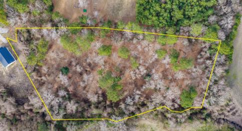 dji_20260121143458_0012_d-edit