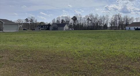Lot 53