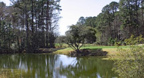 Lindgrove Water Views