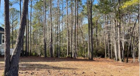 Lindgrove homesite Jan 25