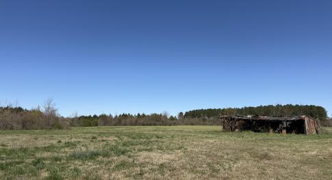 Photo Mar 17 2026, 12 29 46 PM