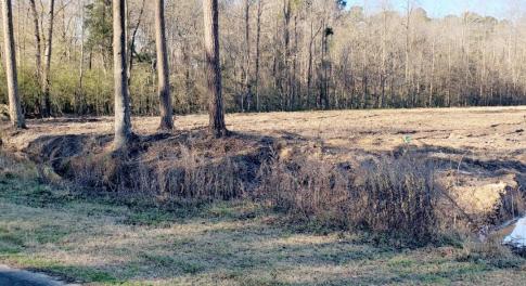 LOT #1_20250214_092842_0000