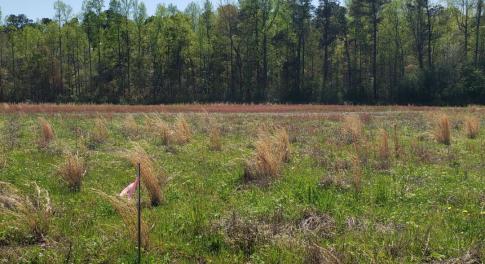 20240329_152253_0000