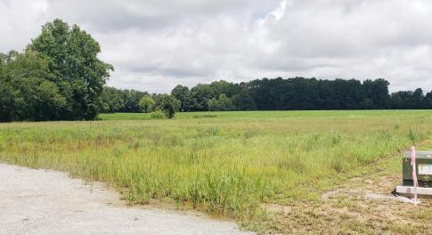 LOT #1_20250806_142244_0000