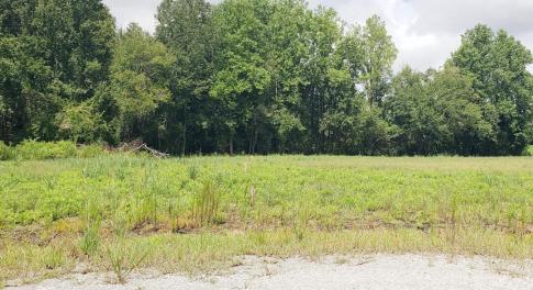 LOT #1_20250806_142336_0000