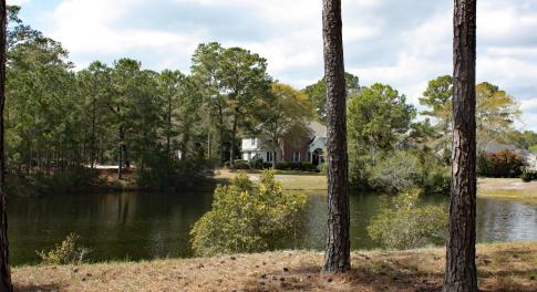 Water and Nature views