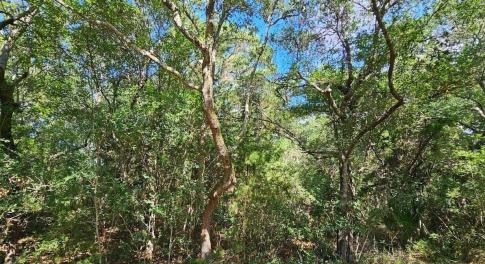 20230830170525614126000000-o