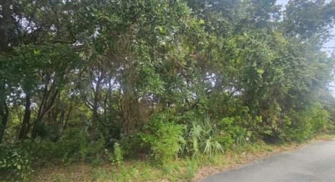 20250813201526254416000000-o