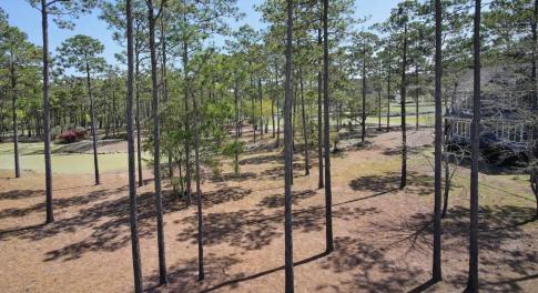 ChatGPT Image Apr 1, 2026, 04_05_54 PM