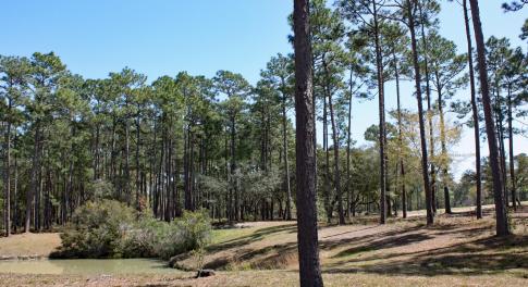 Barrington Place Water and Golf Homesite