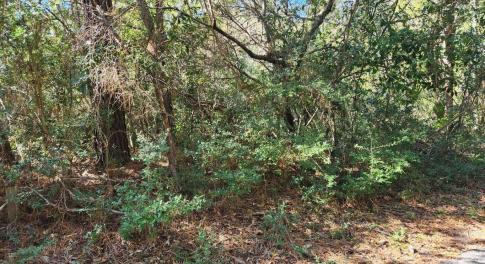 20240130024006877553000000-o (1)