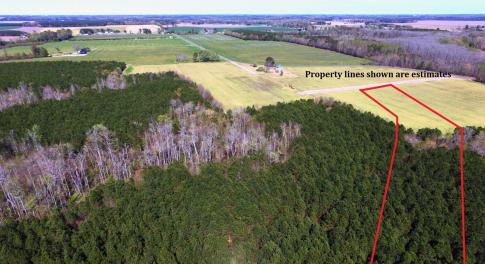 Lot 6-Aerial view with property lines sh