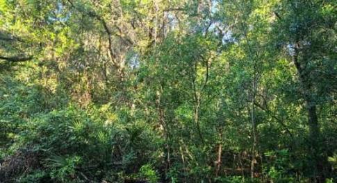 20230714043623708274000000-o