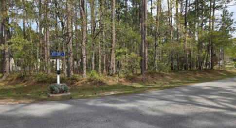901 Bee Tree Ct lot photo