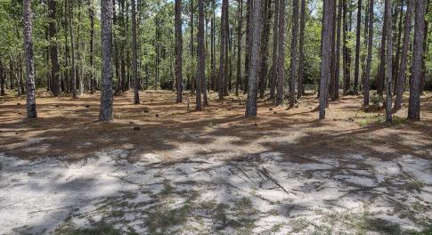 Image 2 6864 Beckman - Front