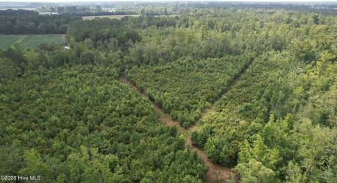 dji_fly_20230710_103806_578_168900019731