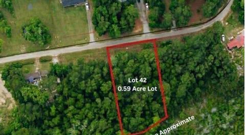 Lot 42 Aerial